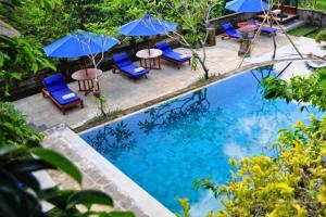 Kolam renang di atau dekat dengan Ritika 1 BR Deluxe Garden view ZN238