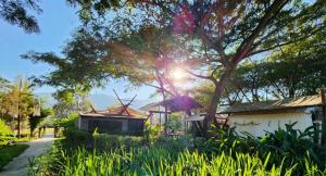 ลูกช้างเขาใหญ่แคมป์外面的花园