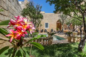 Zahrada ubytování Palazzo Pisani Malta Boutique and SPA