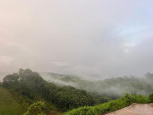 a misty hillside with trees and clouds in the sky at มองหมอกฮิลล์ in Khao Kho