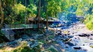 a bridge over a river in a forest at KDL Liliang in Di Linh