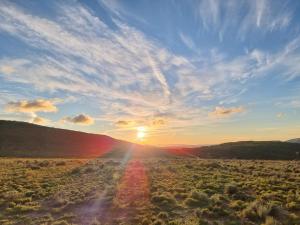 a sunset in the middle of a field with a dirt road at Botterboom - Private Karoo Campsite in Barrydale +8 photos
