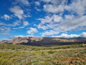 a road in the desert with a mountain in the background at Botterboom - Private Karoo Campsite in Barrydale