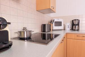 Kuchyň nebo kuchyňský kout v ubytování Gästehaus Pilz Schladming