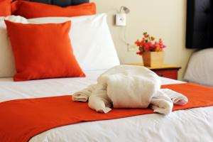 Gallery image of La Zayapa Hotel in Puerto Baquerizo Moreno +39 photos