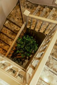 Foto dalla galleria di Hotel Belsito Wellness & Spa a Fiuggi