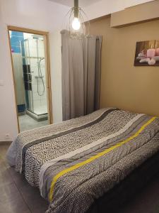 a bedroom with a bed and a chandelier at appart centre ville bords de loire in Saumur