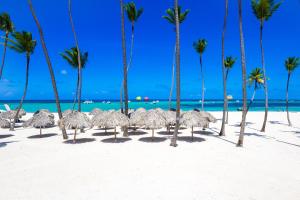 a group of palm trees on a beach with the ocean at Prime Ocean View Punta Cana Apartments - 3-Bedroom Getaway with Private Terrace on Bávaro Beach in Punta Cana