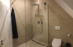 a bathroom with a shower with a toilet at Monteurwohnung - Ferienwohnung in Piesberger