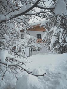 Cuckoos' Nest v zimě
