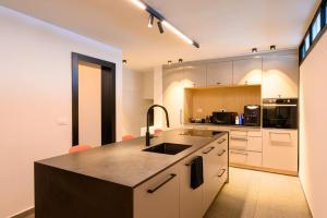 Rokah Luxury Villa at Ramat HaHayal的厨房或小厨房
