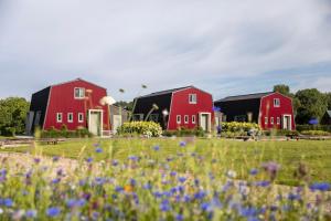 HapertDe Pan的花田里的一组红色谷仓