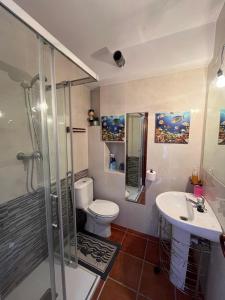 een badkamer met een douche, een toilet en een wastafel bij La Cardosa in Comillas