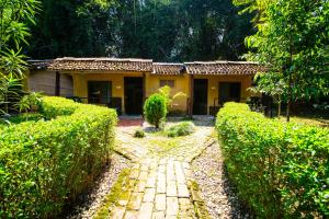 A garden outside Wild Planet Eco Retreat