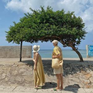 Photo de la galerie de l'établissement Chan Hotel Dao Phu Quy, à Phú Quý 14 autres photos
