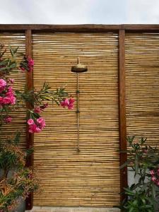 Zahrada ubytování Poseidonia Syros cozy house