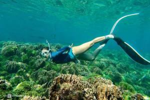 Photo de la galerie de l'établissement Chan Hotel Dao Phu Quy, à Phú Quý