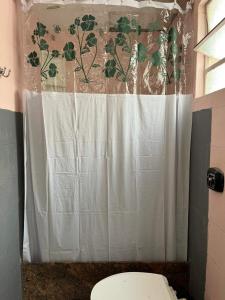 a bathroom with a toilet and a shower curtain at LiveRio Hostel Ipanema in Rio de Janeiro