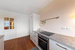 Kuchyň nebo kuchyňský kout v ubytování Apartment Weingut Zail