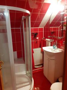 a red bathroom with a shower and a sink at Colt de rai in Bran +35 photos