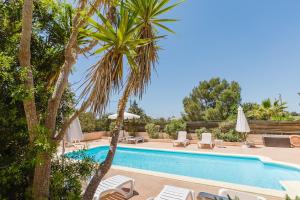 a swimming pool with chairs and a palm tree at Aguamar - Emar Hotels in Playa Migjorn