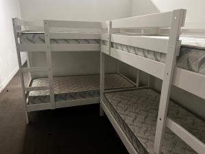 Bunk bed o mga bunk bed sa kuwarto sa Palm Hamilton Backpacker