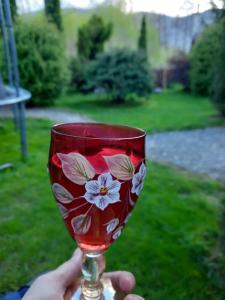 a person holding a wine glass with flowers on it at Colt de rai in Bran