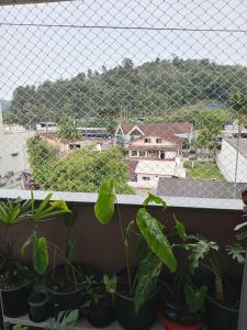 a group of potted plants sitting on a window sill at Suíte perto da Vila Germânica, em Blumenau in Blumenau