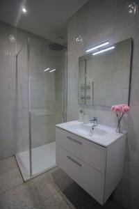 un bagno bianco con lavandino e doccia di chez lulu-La salle de jeux-3 chambres-5pers-cnpe bugey a Ambérieu-en-Bugey Altre 20 foto