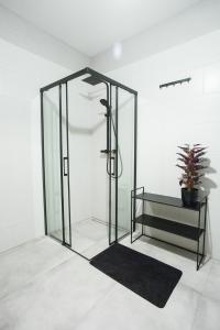 a glass elevator in a room with a potted plant at Apartament Bellissima in Bielsko-Biala