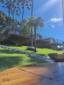 モンテ・ヴェルデにあるPousada Villa Barrilのヤシの木が茂る公園内のウォータースライド +37枚の写真