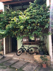 a bike parked under a tree with oranges on it at Paraíso na cidade in Salvador