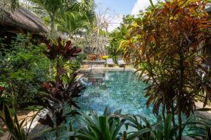 a swimming pool in a garden with trees at Villa Paradis in Grand Baie