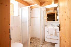 a bathroom with a shower and a toilet and a sink at Almhäuser Filzsteinalpe Almhaus 196 in Krimml +16 photos