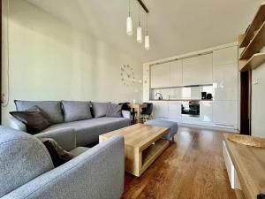 Η κουζίνα ή μικρή κουζίνα στο EASY RENT- Metropolitan 2 Free Parking, Hala Globus, 24h Check-in, Zana