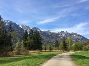Peisaj natural din apropierea acestei pensiuni
