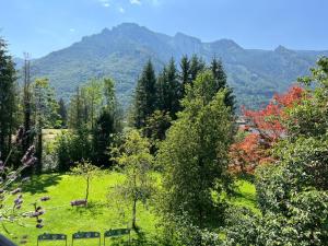 Peisaj natural din apropierea acestei pensiuni