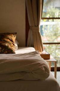 Gallery image of Kanzaki Beach House in Kanzaki +41 photos