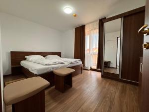 a bedroom with a bed and a large window at Casa Maria in Streiu