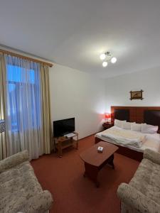 TV a/nebo společenská místnost v ubytování Diligence Hotel & restaurant