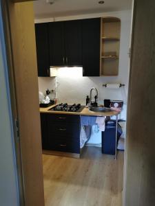 a kitchen with black cabinets and a sink at Pokoje gościnne Kamil 2 in Karpacz +5 photos