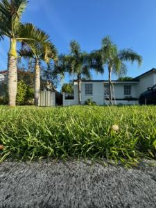 a field of grass with palm trees and a house at Cozy Corner in Miami