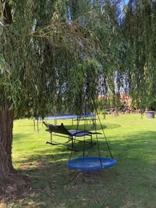 Vonkajšia záhrada v ubytovaní Parc de la Charmille