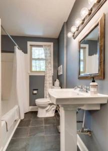 une salle de bain avec un lavabo, des toilettes et un miroir dans l'établissement Franklin Cottage Cozy 2 bed 1 bath, à Franklin