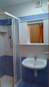 La salle de bains est pourvue d'un lavabo et d'une douche avec un miroir. dans l'établissement Residence Lores 2, à Marilleva