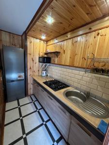 a kitchen with a sink and a refrigerator at Живописні карпати in Slavske