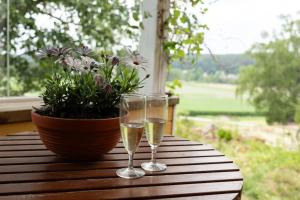 two glasses of champagne on a table with a potted plant at Keltainen talo - tilava huvila lähellä Saloa in Vartsala