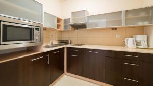 Η κουζίνα ή μικρή κουζίνα στο Karpacz Residence 107A +7 φωτογραφίες
