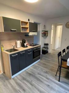 Kuchyň nebo kuchyňský kout v ubytování 10 Personen Appartment Bad Rappenau