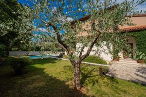 Zahrada ubytování Villa Tina in Pinezići (Haus für 10 Personen)